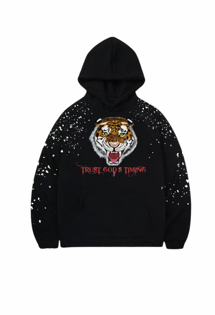 Roar of Faith Hoodie – Trust God's Timing